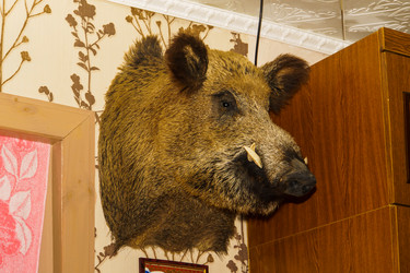 Similar image 21977119