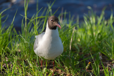 Similar image 21987046