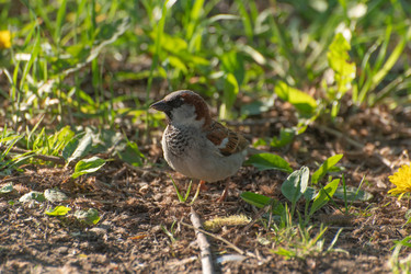 Similar image 21987047