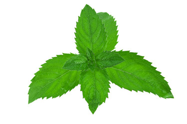 Similar image 21987048