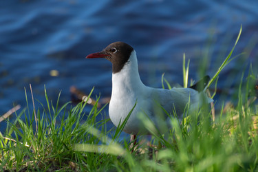 Similar image 21987049