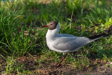 Similar image 21987052