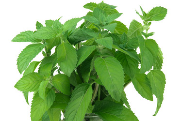 Similar image 21987059