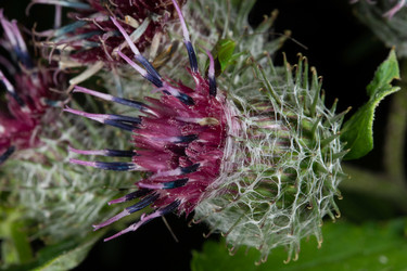 Similar image 21987061