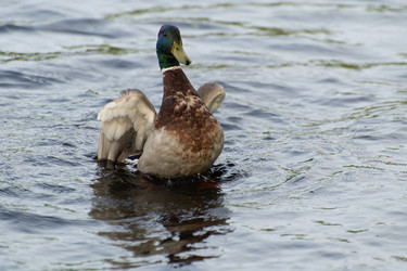 Similar image 21987062