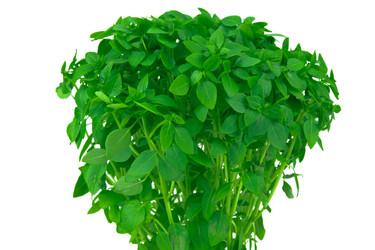 Similar image 21987065