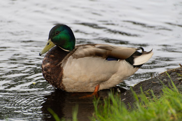 Similar image 21987068