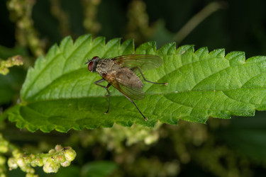 Similar image 21987069