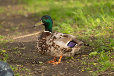 Similar image 21987070