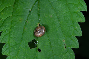 Similar image 21987071