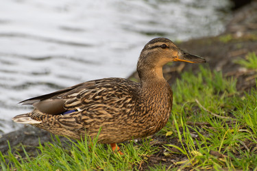 Similar image 21987072