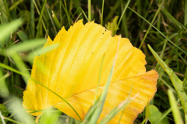 Similar image 21987073