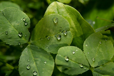 Similar image 21987280