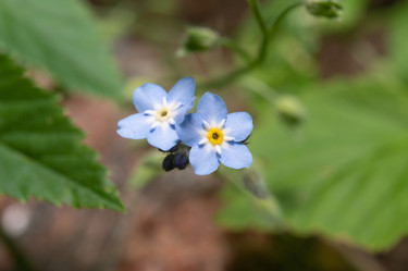 Similar image 21987285