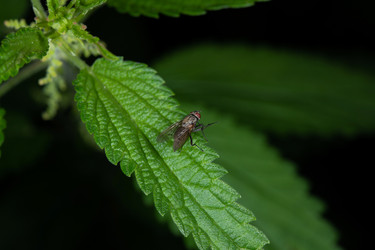 Similar image 21987286