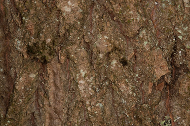 Similar image 21987288