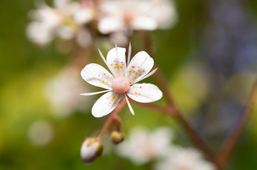 Similar image 21987289