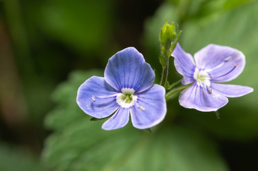 Similar image 21987293