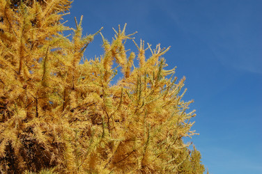 Similar image 21988339