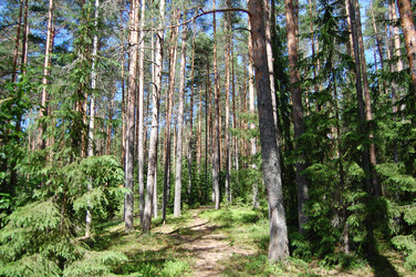 Similar image 21988340