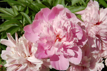 Similar image 21988341