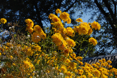 Similar image 21988344