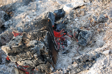 Similar image 21988345