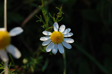 Similar image 21988346