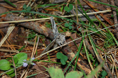 Similar image 21988347