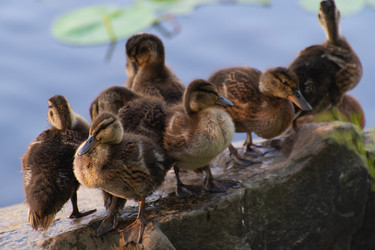 Similar image 21987542