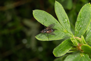 Similar image 21987543