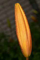 Similar image 21987761