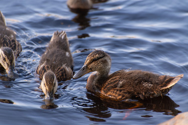 Similar image 21987762