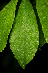 Similar image 21987763