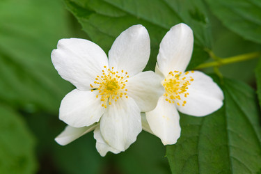 Similar image 21987765