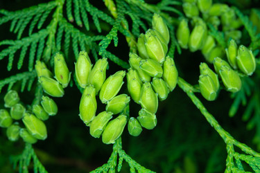 Similar image 21987767