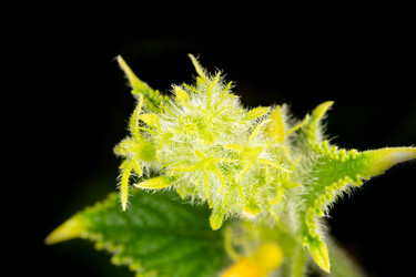 Similar image 21987771