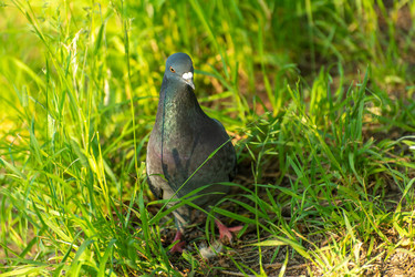 Similar image 21987774