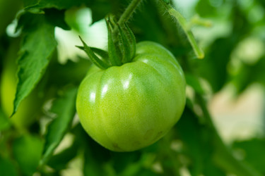 Similar image 21987775