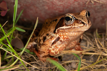 Similar image 21987777