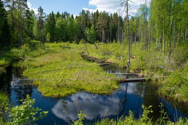 Similar image 21987779