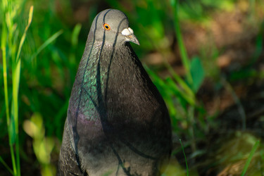 Similar image 21987780