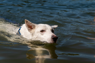 Similar image 21988303