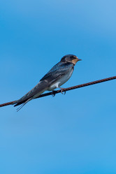 Similar image 21988304