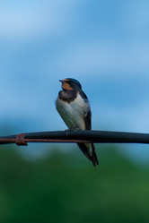 Similar image 21988306