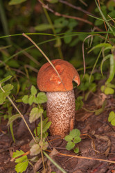 Similar image 21988307