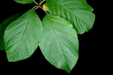 Similar image 21988309