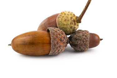 Similar image 21987296