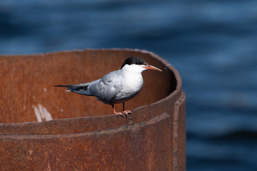 Similar image 21987298