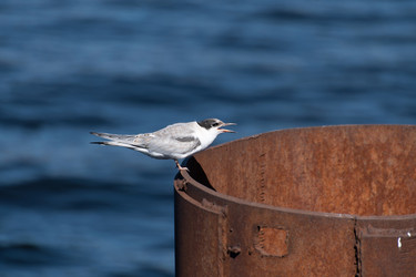 Similar image 21987299